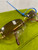 Used Cartier Sunglasses 60067-S000789943 View 5
