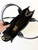 Used Marc Jacobs Large Leather Handbag 60039-S000781312 View 4