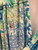 Used Lilly Pulitzer Tank Top S-4/6 60071-S000639368 View 3