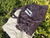 Used Michael Michael Kors Large Handbag 60085-S000354607 View 2