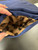 Used Vera Bradley Small Handbag 60084-S000900560 View 6