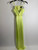 Used Bardot Long Dress B XS-0/2 60049-S000701832 View 1
