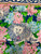 Used Lilly Pulitzer Lightweight Scarf 60047-S000615042 View 3