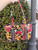 Used Vera Bradley Small Handbag 60067-S000801896 View 1