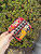 Used Vera Bradley Wallet 60067-S000801897 View 2