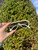 Used Fendi Sunglasses 60067-S000801929 View 2