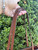 Used Dooney & Bourke Large Leather Handbag 60067-S000802197 View 6