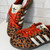 Used Adidas Casual Shoes 7.5 60059-S000878434 View 3