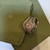 Used Judith Ripka 925 Ring Trio 60049-S000809689 View 1