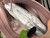 Used Kate Spade New York Xlarge Leather Handbag 60084-S000905328 View 7