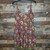 Used Velvet By Graham & Spencer Short Dress F XS-0/2 60129-S000555597 View 1