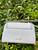 Used Rebecca Minkoff Small Handbag 60085-S000359177 View 4