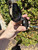 Used Christian Dior Sunglasses 60067-S000804444 View 3