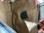 Used Fossil Small Leather Handbag 60142-S000039953 View 3