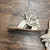 Used Tory Burch Sandals 5 60004-S000660195 View 10