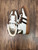 Used Unbranded Casual Shoes 6 60060-S000638571 View 2