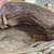 Used Michael Michael Kors Large Handbag 60112-S000437844 View 9