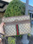 Used Gucci Leather Pouch 60067-S000806188 View 1