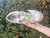 Used Golden Goose Stardan Shoes 11 60067-S000806416 View 17
