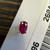 Used 14K GOLD Earrings 60129-S000557996 View 2