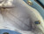 Used Kate Spade Small Leather Handbag 60084-S000911179 View 11