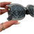 Used Fendi Sunglasses 60099-S000363985 View 2