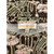 Used Tory Burch Short Dress B S-4/6 60099-S000364103 View 3