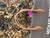 Used Michael Kors Handbag 60067-S000806882 View 5