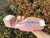 Used Gucci Sandals 8 60067-S000806916 View 25