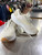 Used Brooks Performance Shoes 7.5 60126-S000442364 View 1