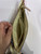 Used Kate Spade New York Small Leather Handbag 60070-S000623870 View 7