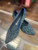 Used Rothy's Flats 9.5 60004-S000661850 View 1
