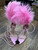 Used Azalea Wang  Low Heels 9 60032-S000691439 View 5