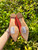 Used Tory Burch Flats 7.5 60085-S000361531 View 5