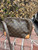 Used Louis Vuitton Nile Handbag 60067-S000808620 View 7