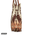 Used Wrangler Xlarge Handbag 60105-S000286291 View 3