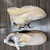 Used Unbranded Casual Shoes 7 60031-S000833775 View 2
