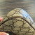 Used Gucci Ophidia Mini Leather Handbag 60129-S000560077 View 6