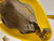 Used Michael Kors Small Leather Handbag 60049-S000820043 View 2