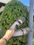 Used Dior Flats 10.5 60067-S000809099 View 4