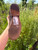 Used Frye Tall Boots 6.5 60084-S000918002 View 9