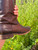 Used Frye Tall Boots 6.5 60084-S000918002 View 14
