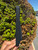 Used Rhode IPhone Case 60067-S000809845 View 3