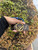 Used Fendi Belt L 12-14/31-32 60067-S000809912 View 5