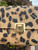 Used Lilly Pulitzer Handbag 60067-S000810150 View 3