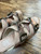 Used Free Bird Low Heels 10 60032-S000693394 View 9