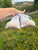 Used Saucony Performance Shoes 9 60084-S000919004 View 5