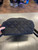 Used Kate Spade New York Large Handbag 60112-S000439623 View 2