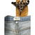 Used Agolde Shorts 4-27 60099-S000366675 View 3