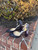 Used Jimmy choo High Heels 7.5 60067-S000810637 View 3